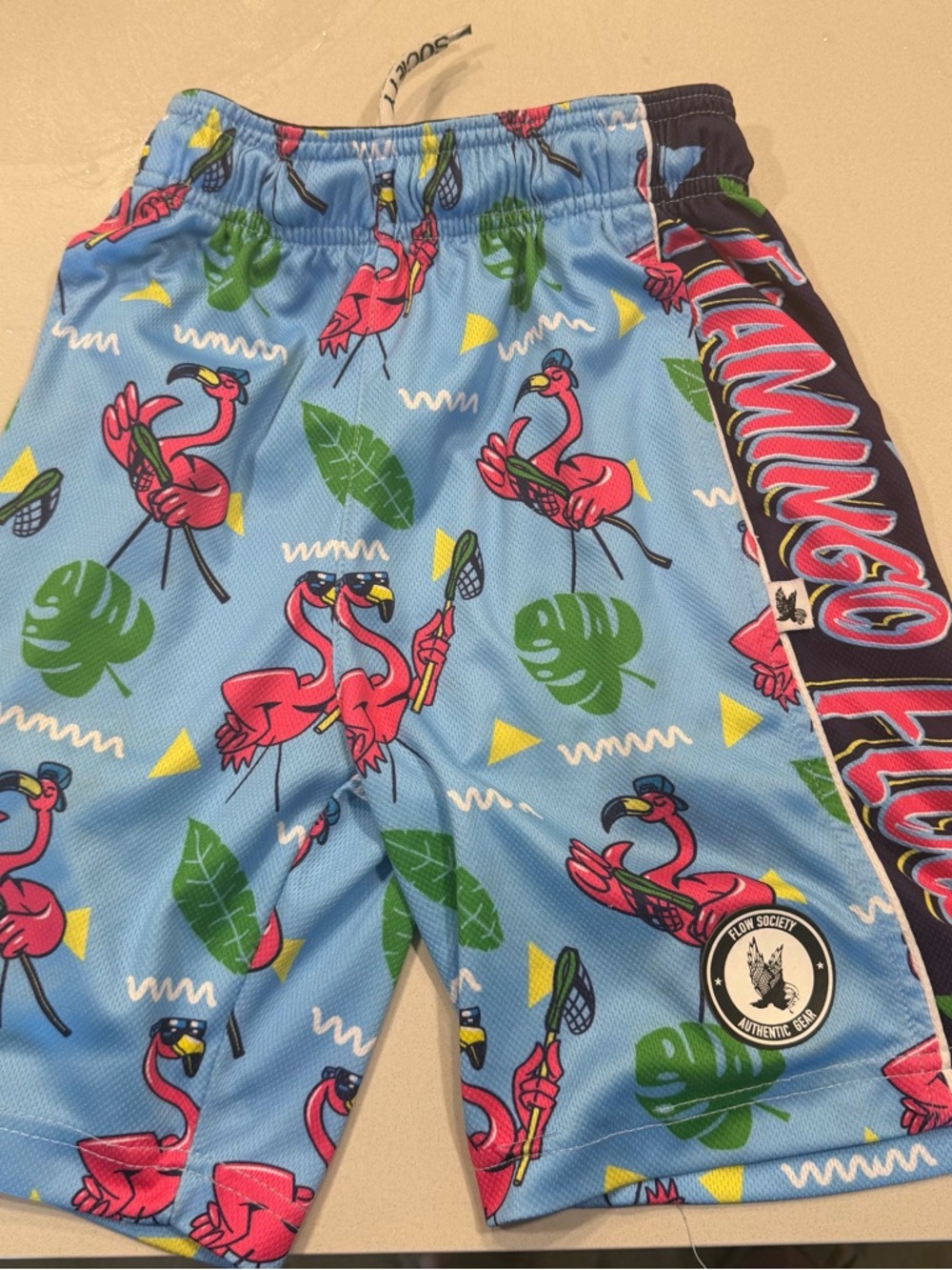 Society Blue & Pink Flamingo Print Kids Swim Shorts